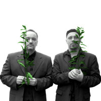 image:song cover